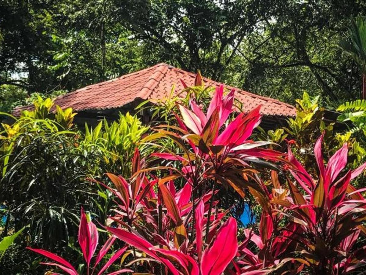 Casa Colores Montezuma Exteriér fotografie