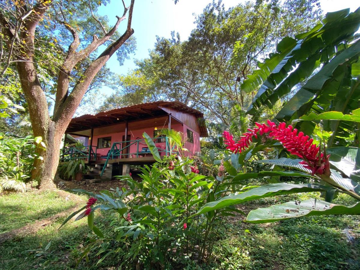 Casa Colores Montezuma Exteriér fotografie
