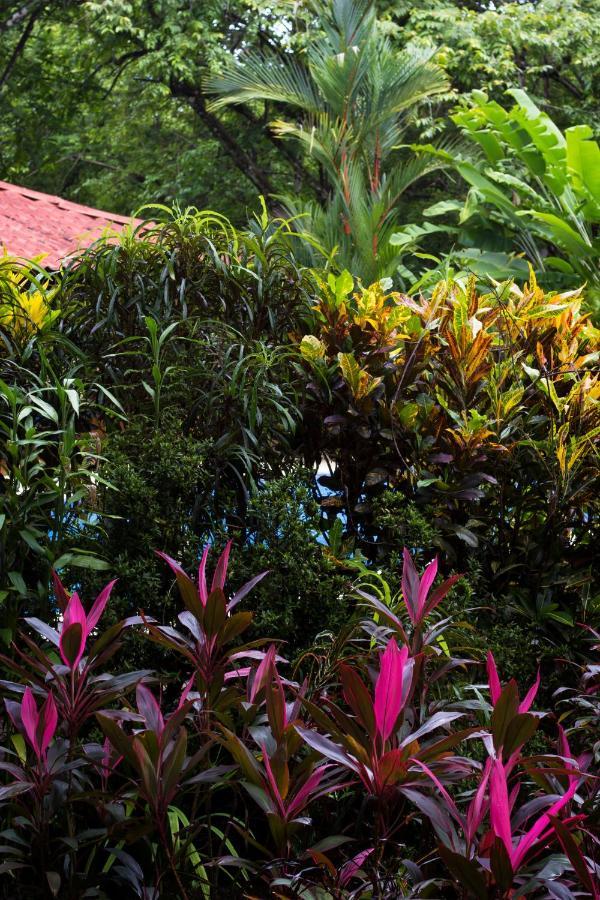 Casa Colores Montezuma Exteriér fotografie