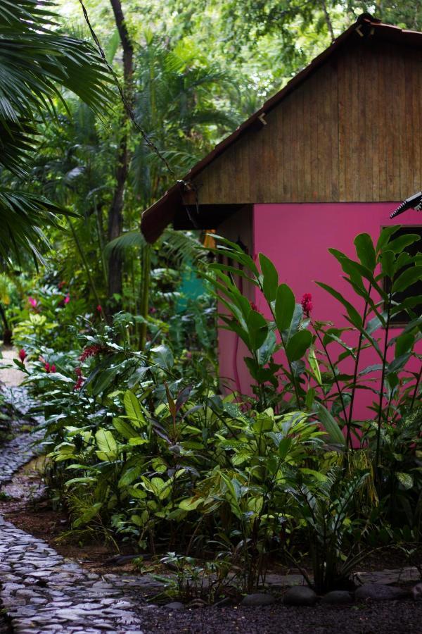 Casa Colores Montezuma Exteriér fotografie